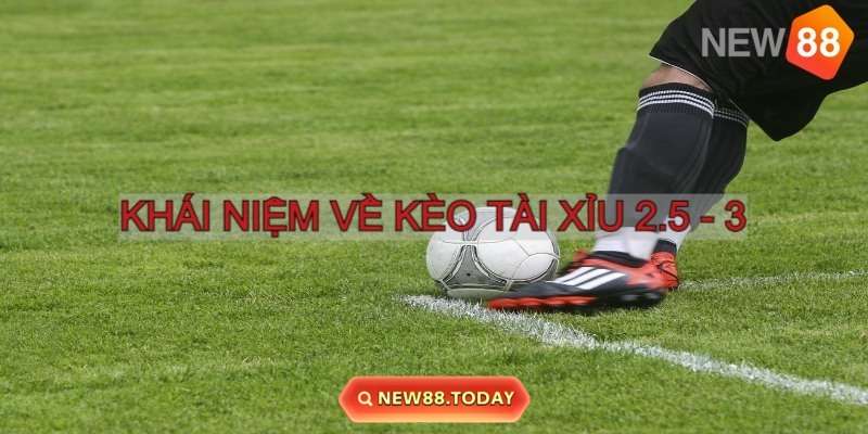 Tài Xỉu 2.5 - 3